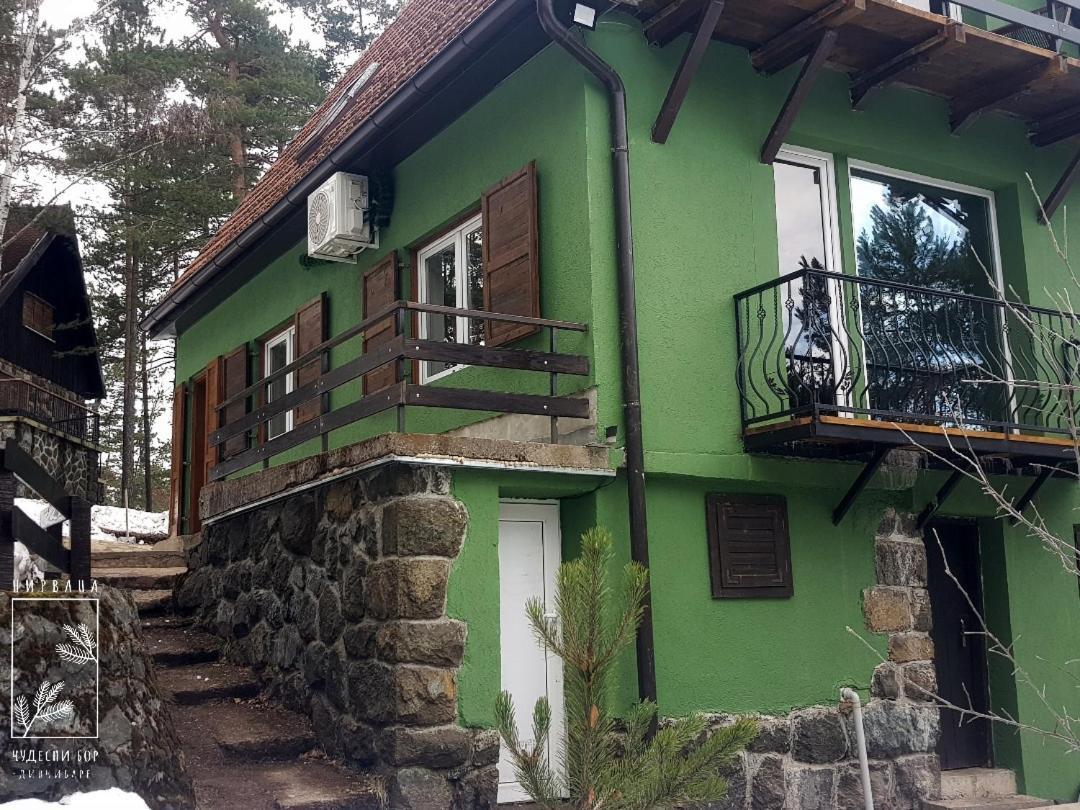 Nirvana Cudesni Bor Divčibare المظهر الخارجي الصورة
